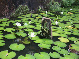Mowbrey House Hotel Kandy Luaran gambar